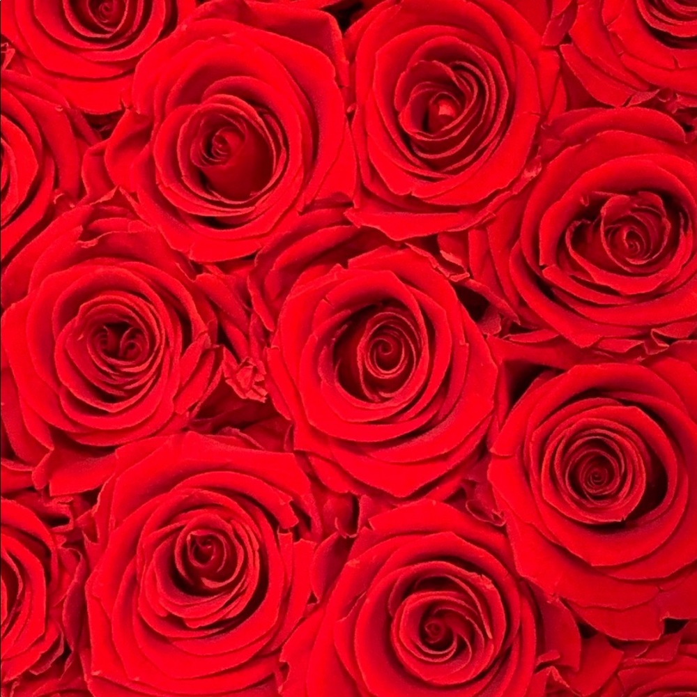 Meet your Posher, Gladys